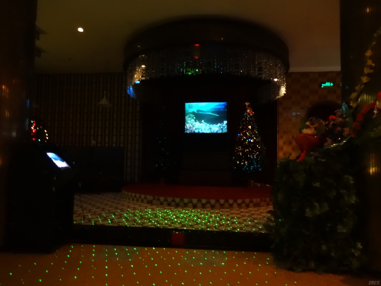 北朝鮮の高麗ホテルのカラオケ,koryohotel karaoke