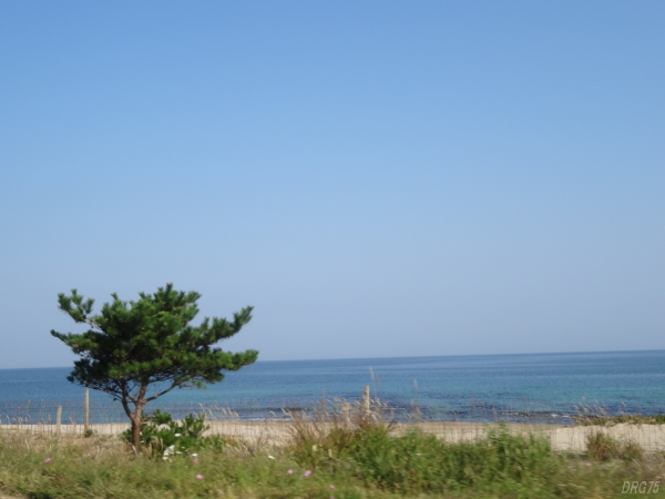 日本海（朝鮮東海）